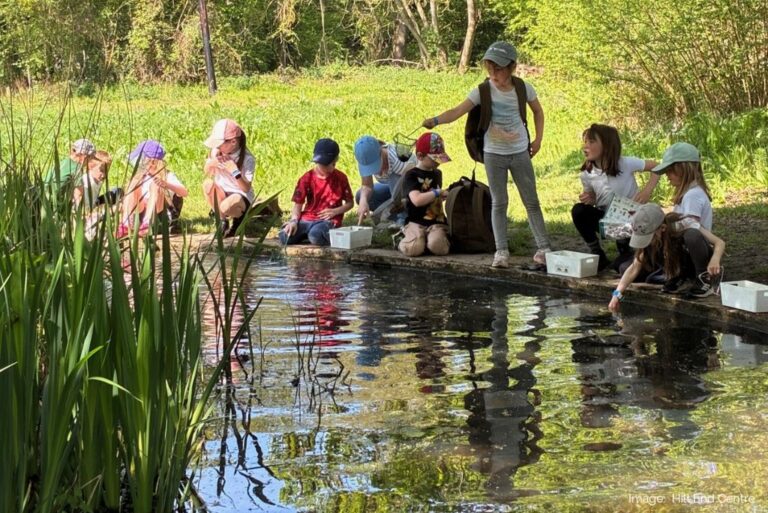 School children taking part in pond dipping.