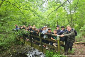 Children on a bridge in a forest - Ashbridge Independent School & Nursery