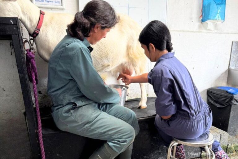 Adult and child milking a goat