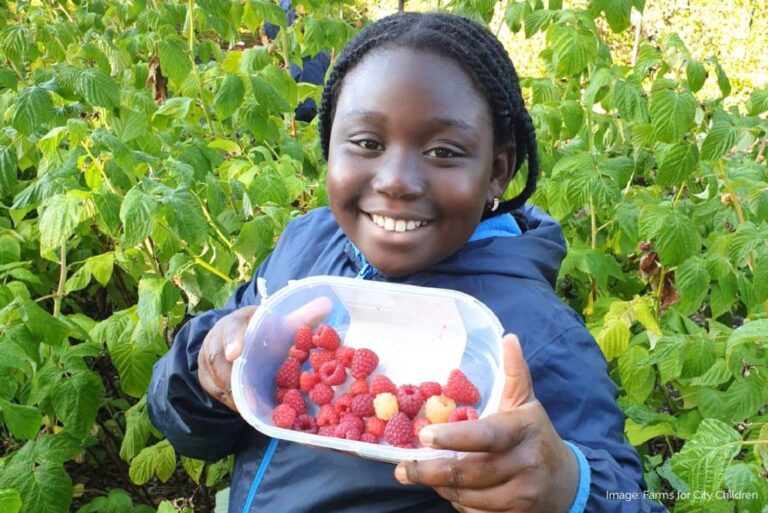 Girl holding a tray of raspberries